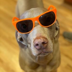 Meet your Posher, Angelene